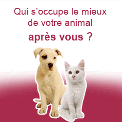 assurance chiens chats