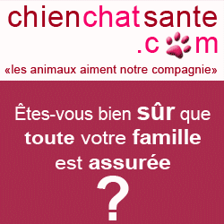 assurance chiens chats