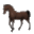 Assurance chevaux